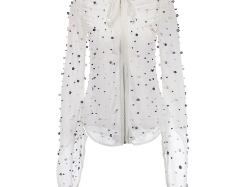 Long sleeved studded Blouse